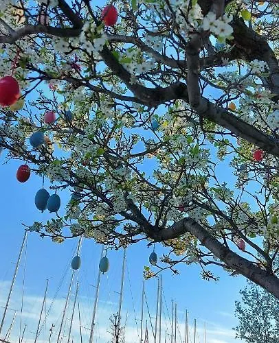 Hotel Silver A36 Apartman